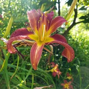 Meet your Posher, Kaylee